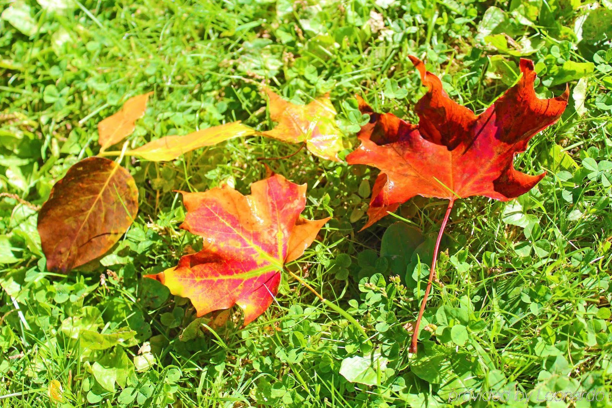 Heart Of The Village Bed & Breakfast In Shelburne Vt Экстерьер фото